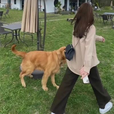 落水狗