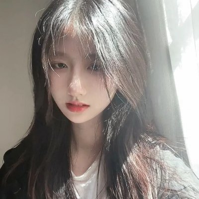 极地熊踪